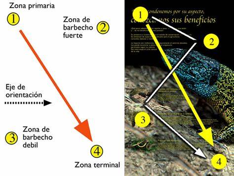 Imagen de la caja